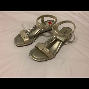 Silver Alfani shoes